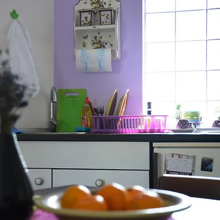 Cozy Downtown Apartament Belgrad