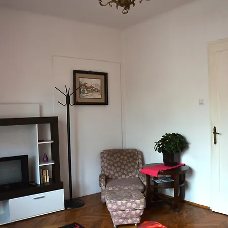 Cozy Downtown Apartment